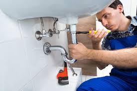 Best Septic System Installation and Maintenance  in Vineland, NJ